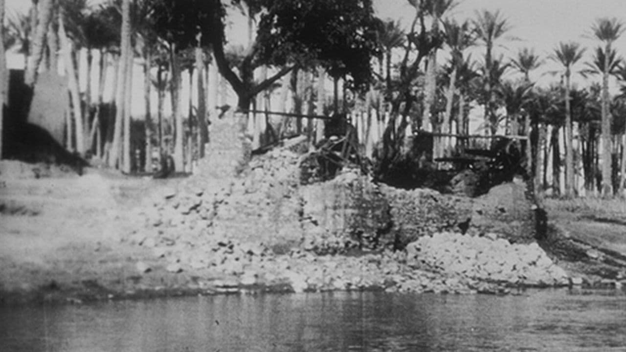 Panorama des rives du Nil, [VII]