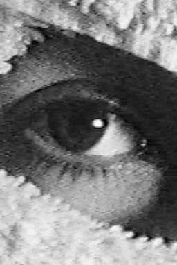 Pneurosis (en el baño)