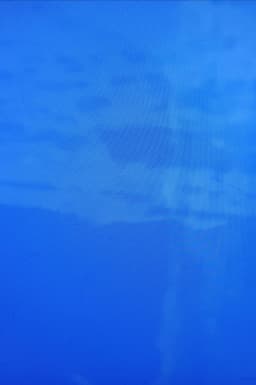 Imitation of Waves - Guy's Visions