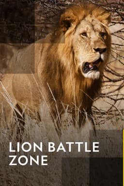 Lion Battle Zone