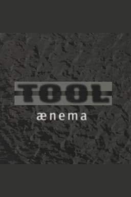 TOOL - Ænima