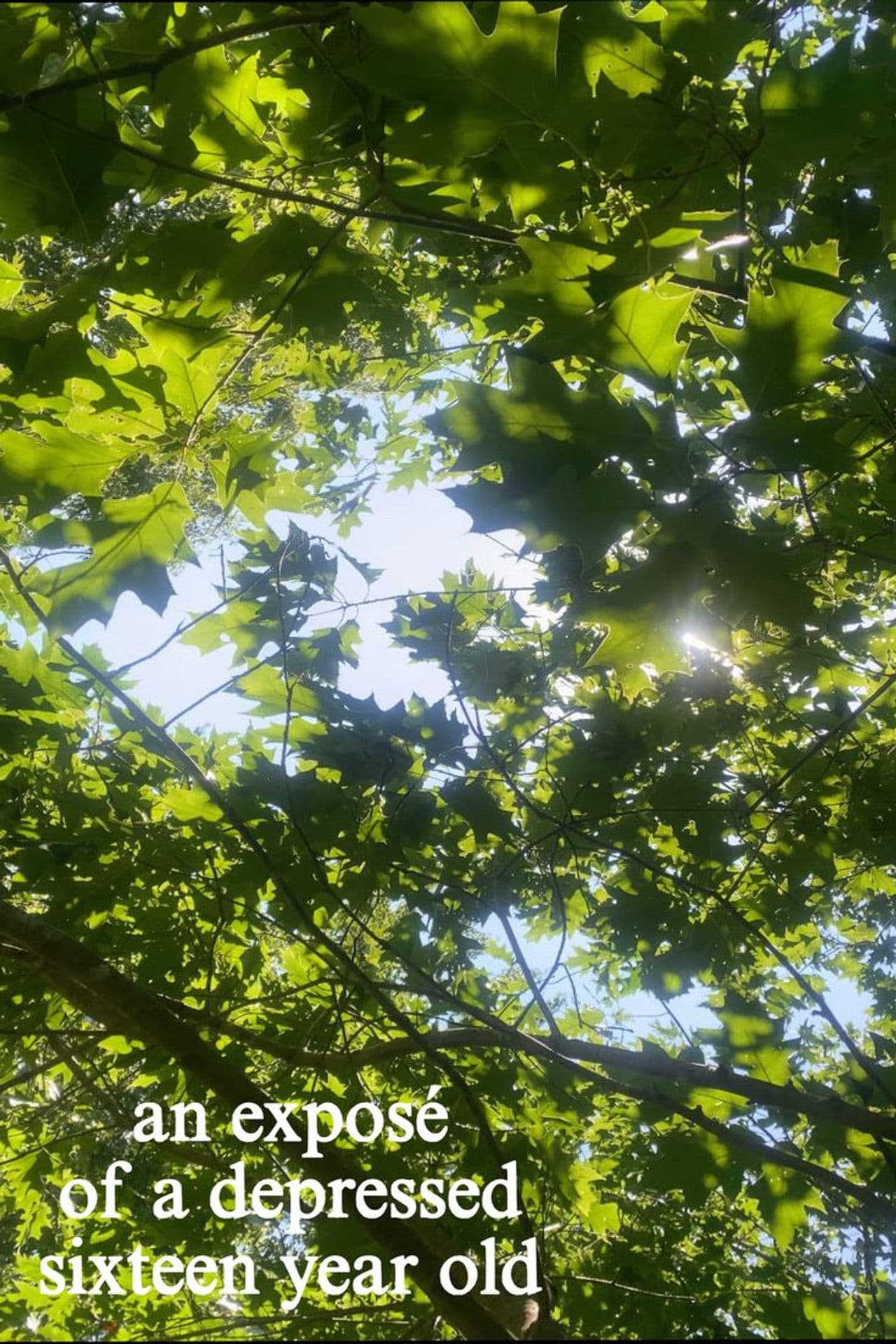 an exposé of a depressed sixteen year old