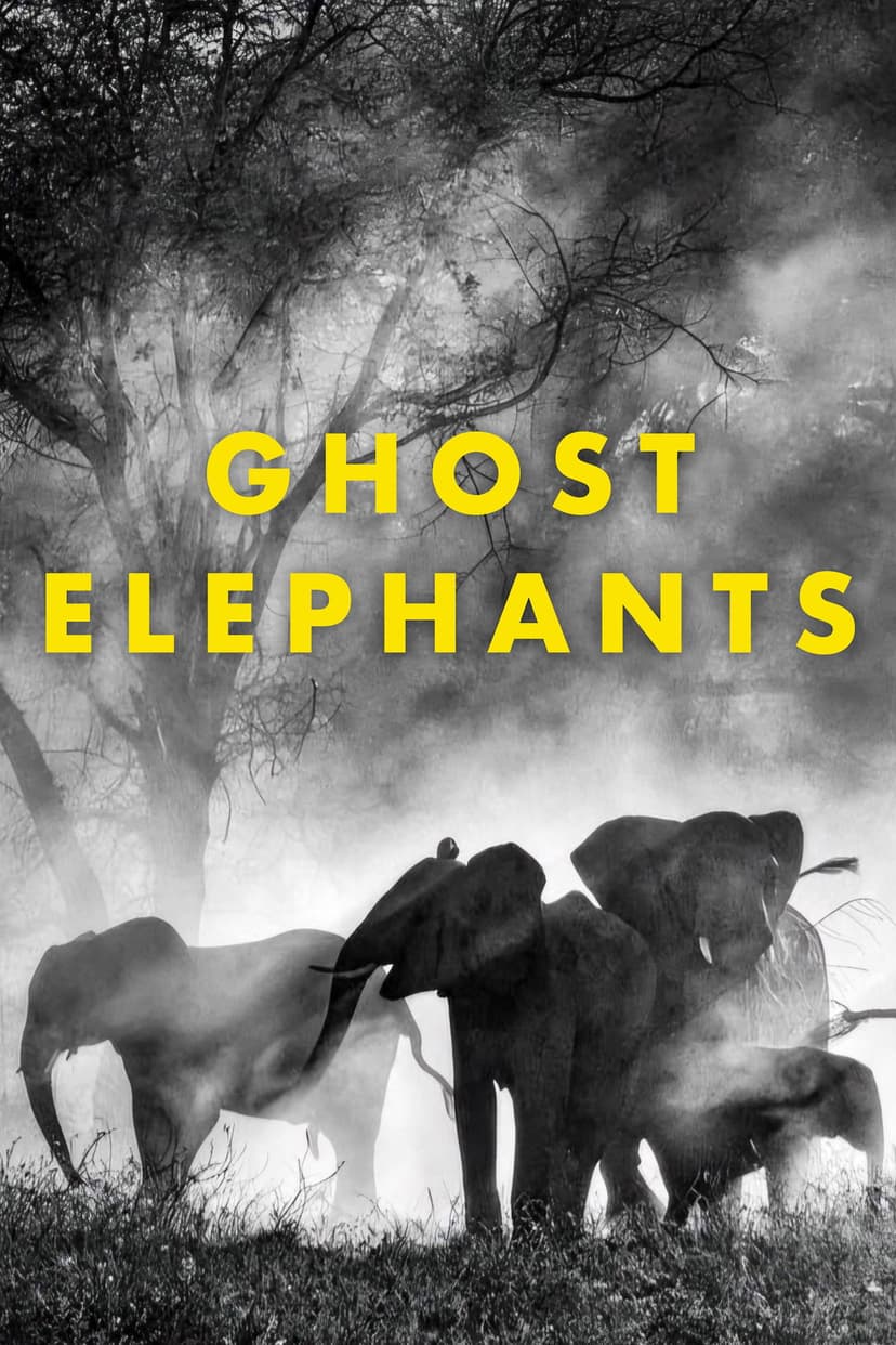 Ghost Elephants