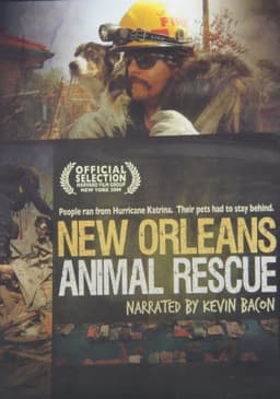 New Orleans Animal Rescue
