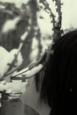 Не Санитары