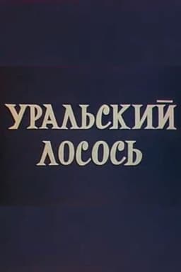 Ural salmon