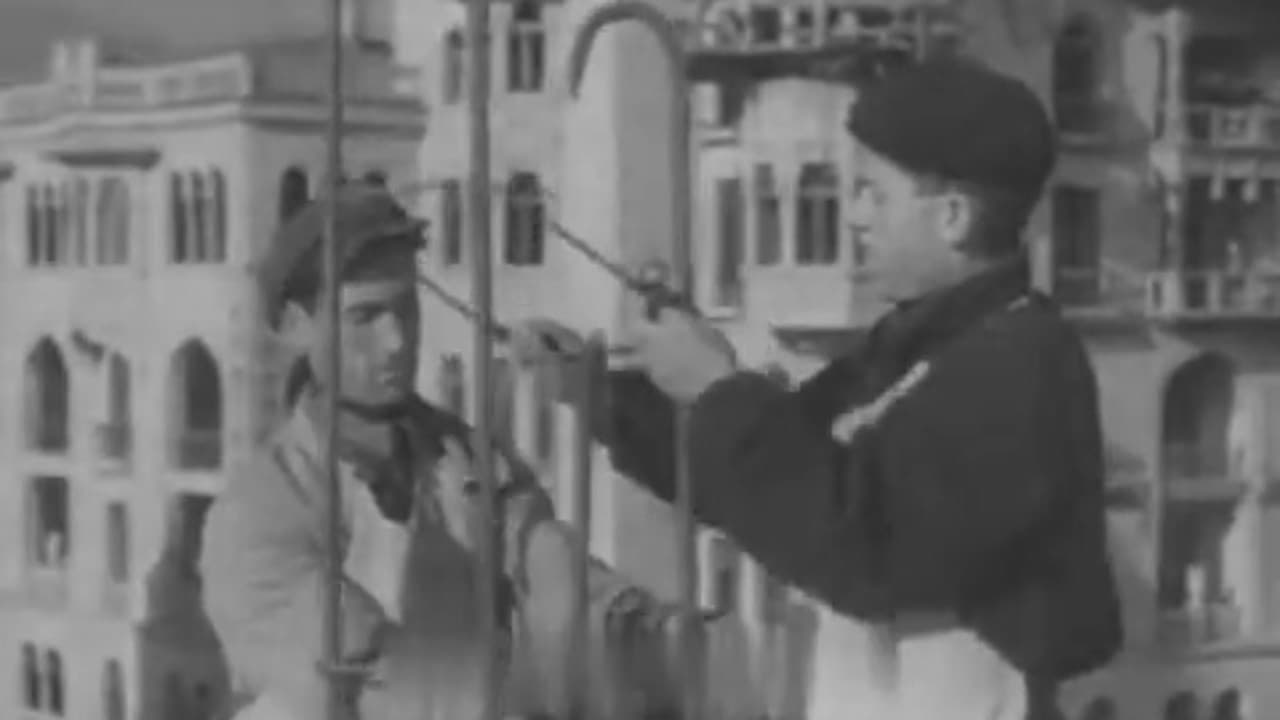 Newsreels No. 58