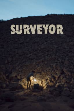 Surveyor