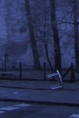 At the End of the Street