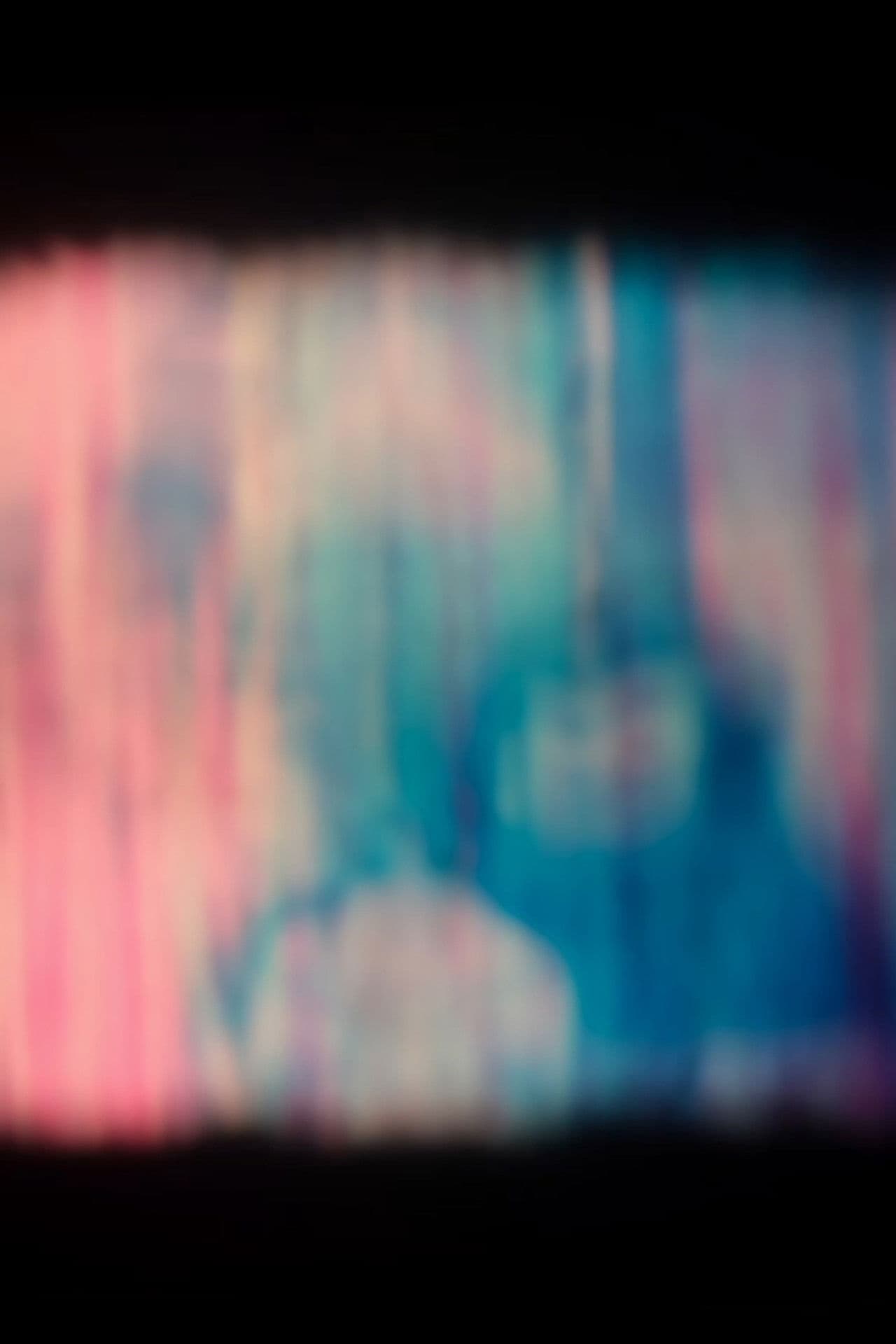 Films with Flowers or Memories with Camellias