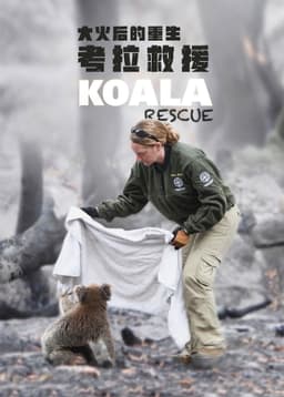 Koala Rescue