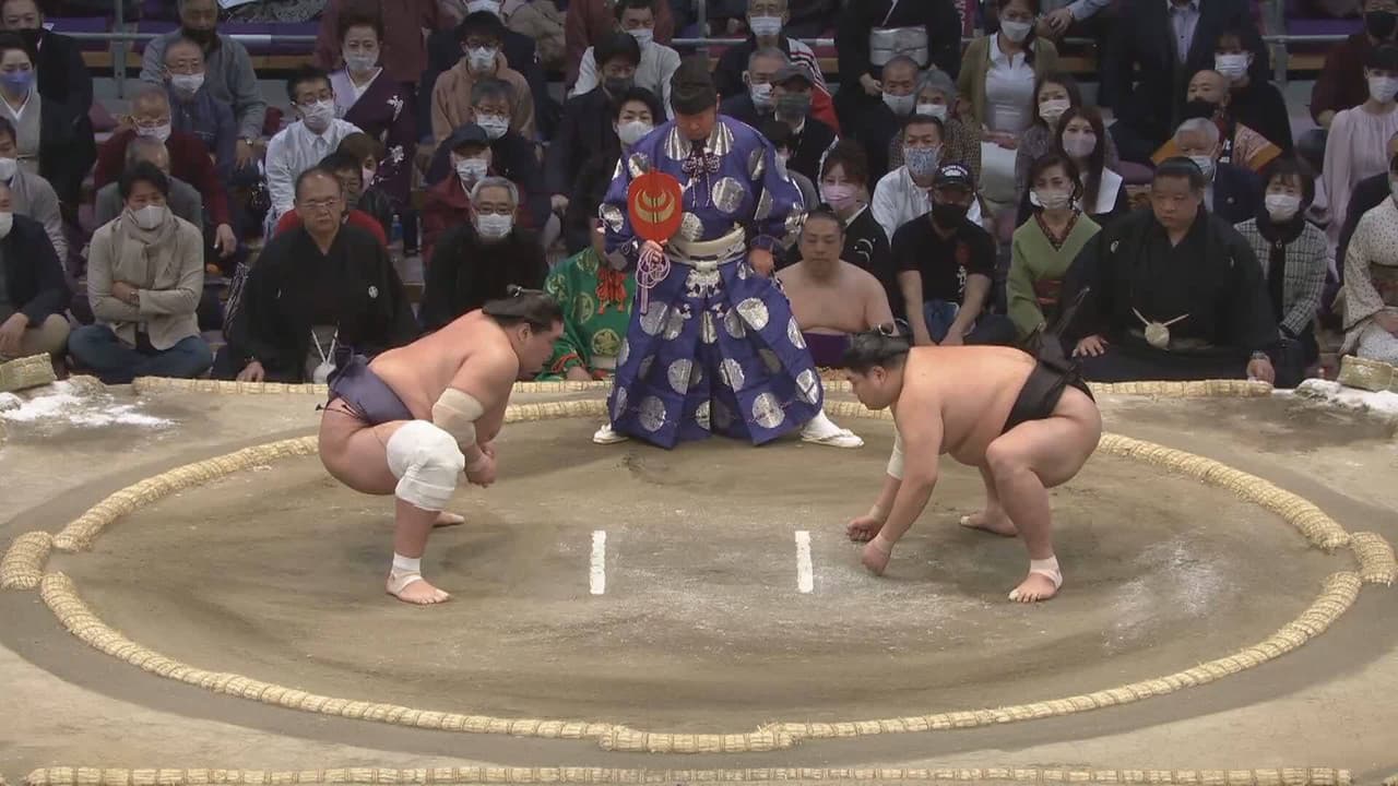 Grand Sumo Dosukoi Ken
