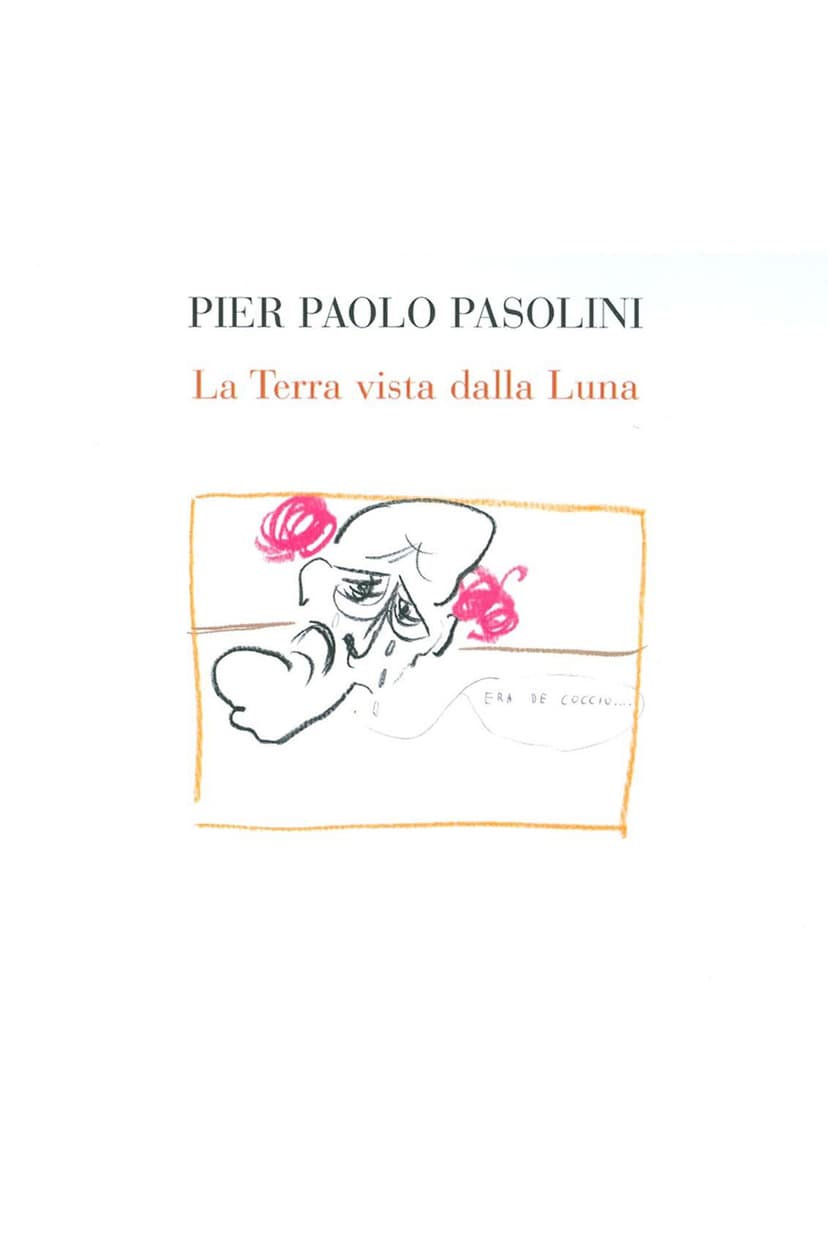 The Earth As Seen from the Moon