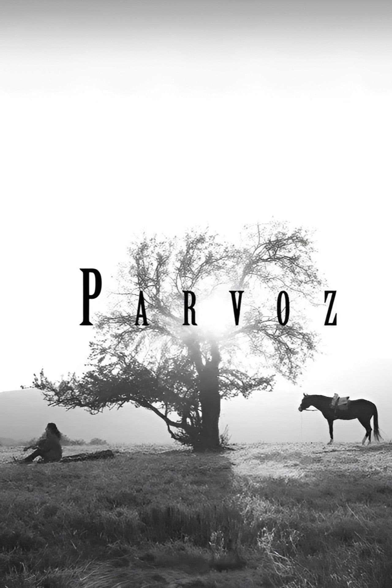 Parvoz