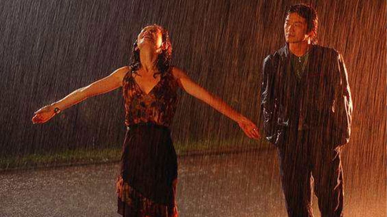 谁都会说我爱你