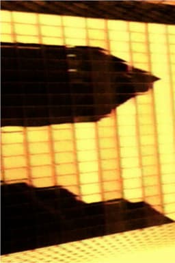 Commission Stratégie à 3 Ans