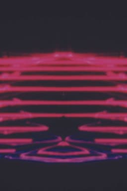 Fresh Honey from the Lion’s Mouth