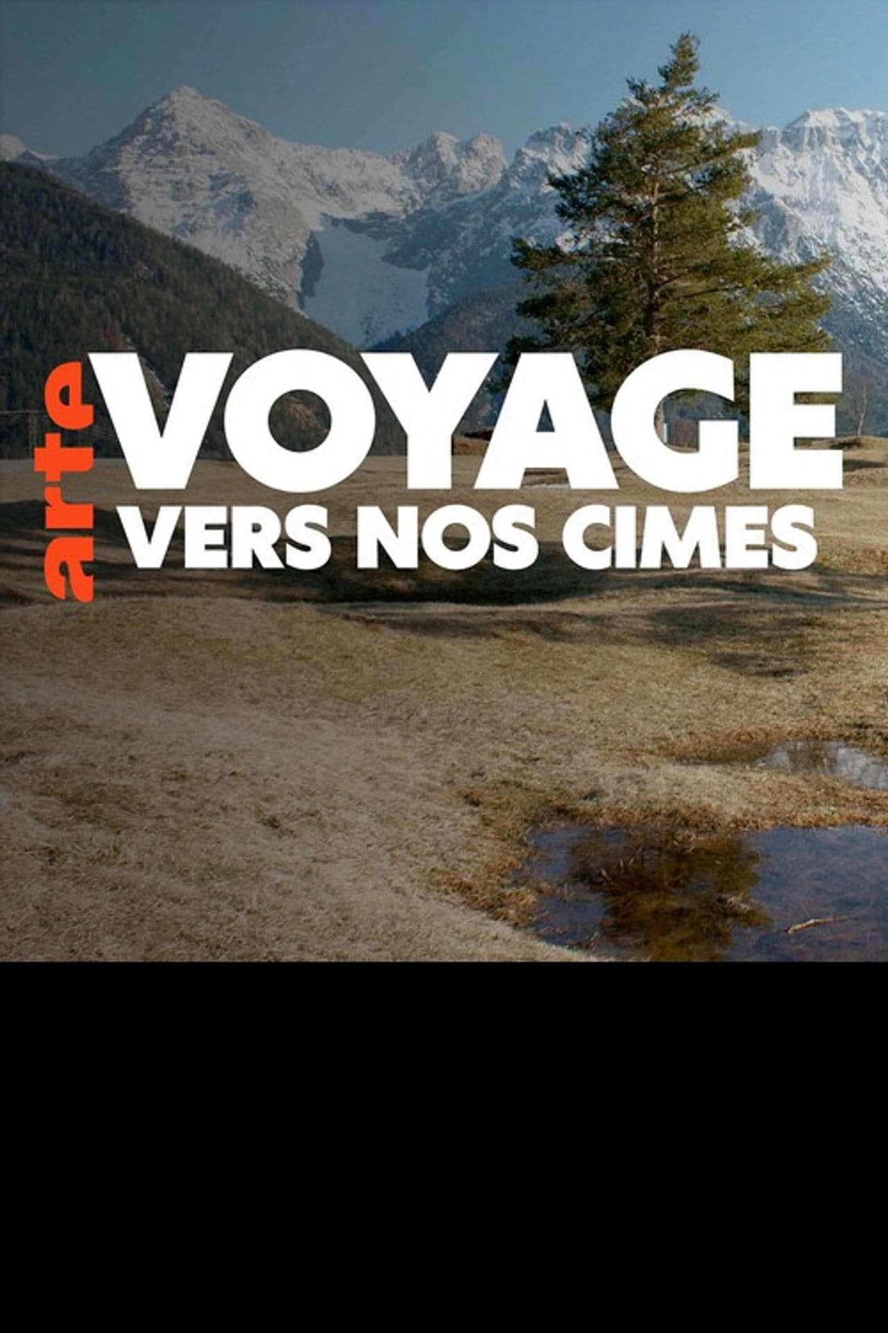 Voyage vers nos cimes