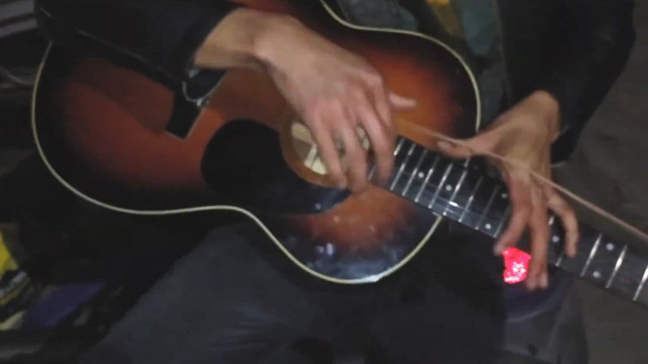 Fragments in a Musician's Life