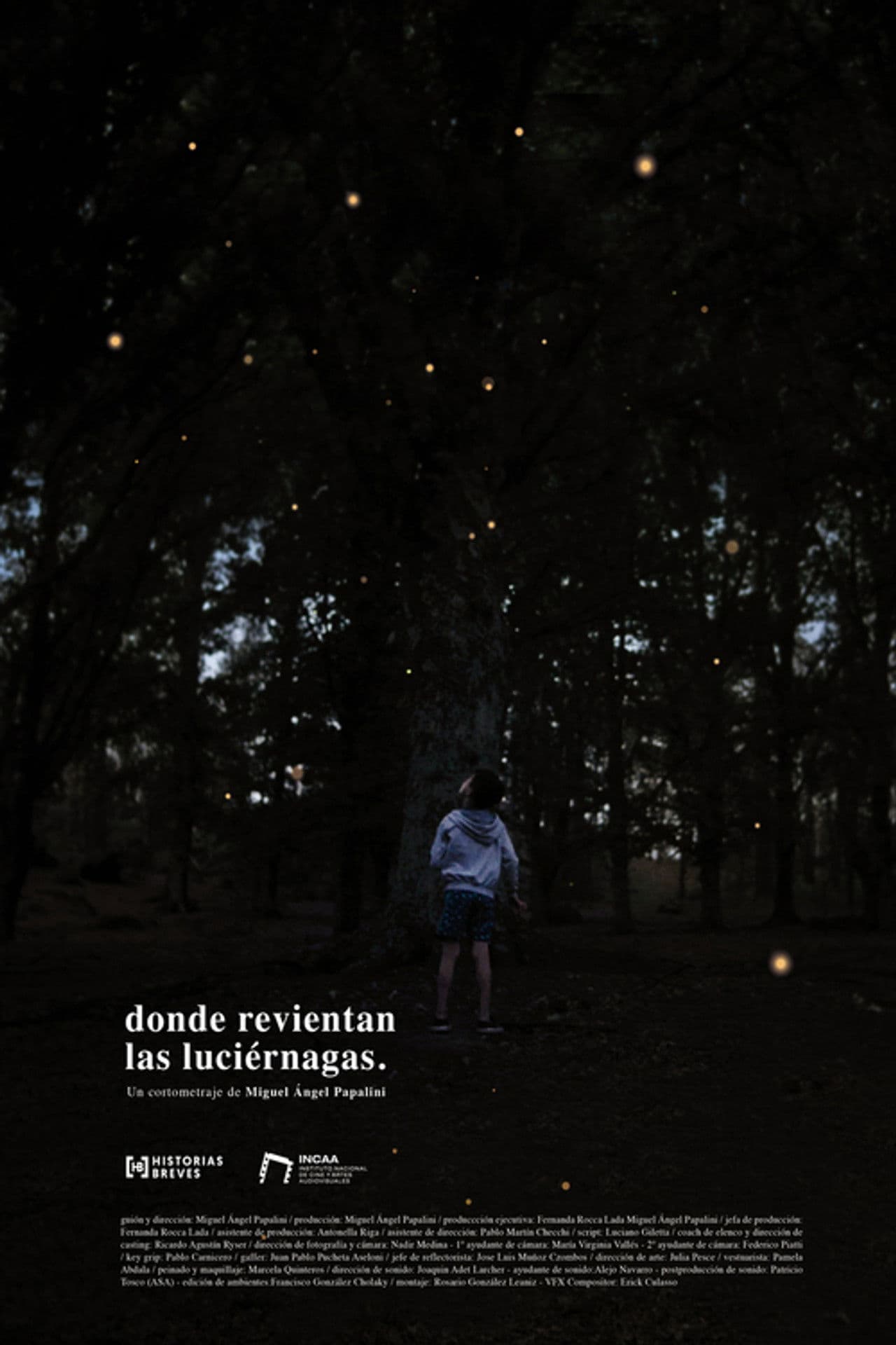 Where the fireflies burst