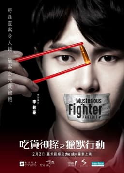 MYSTERIOUS FIGHTER Project A