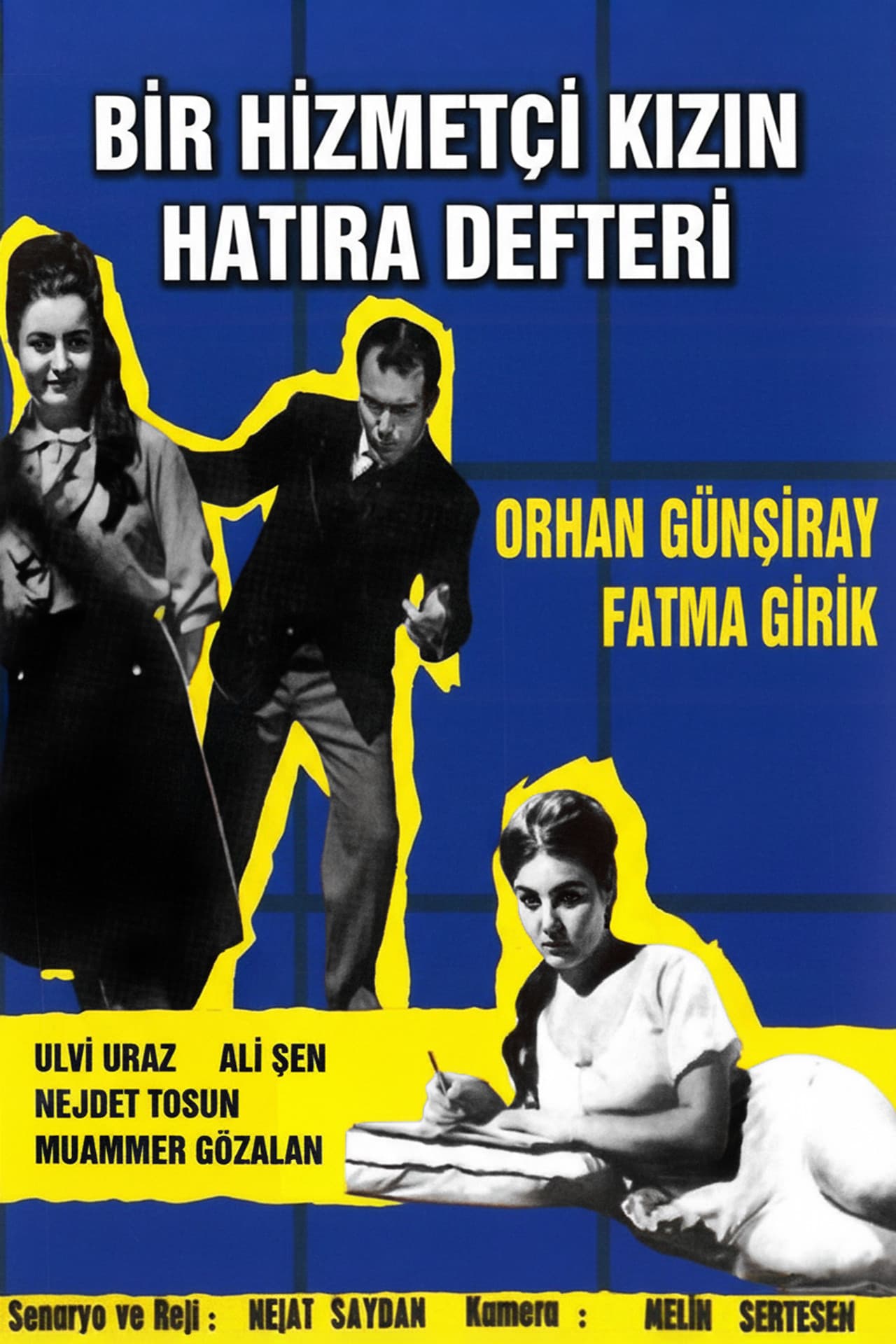 Bir Hizmetçi Kızın Hatıra Defteri