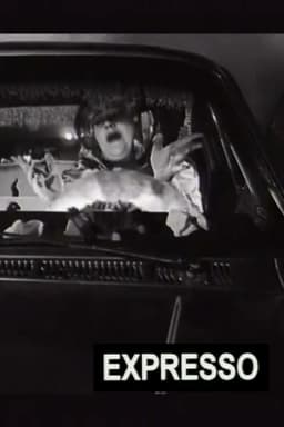 Expresso