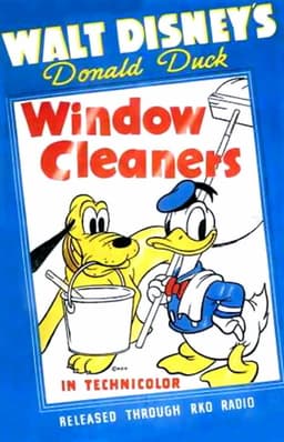 Window Cleaners