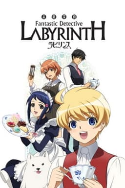 Fantastic Detective Labyrinth