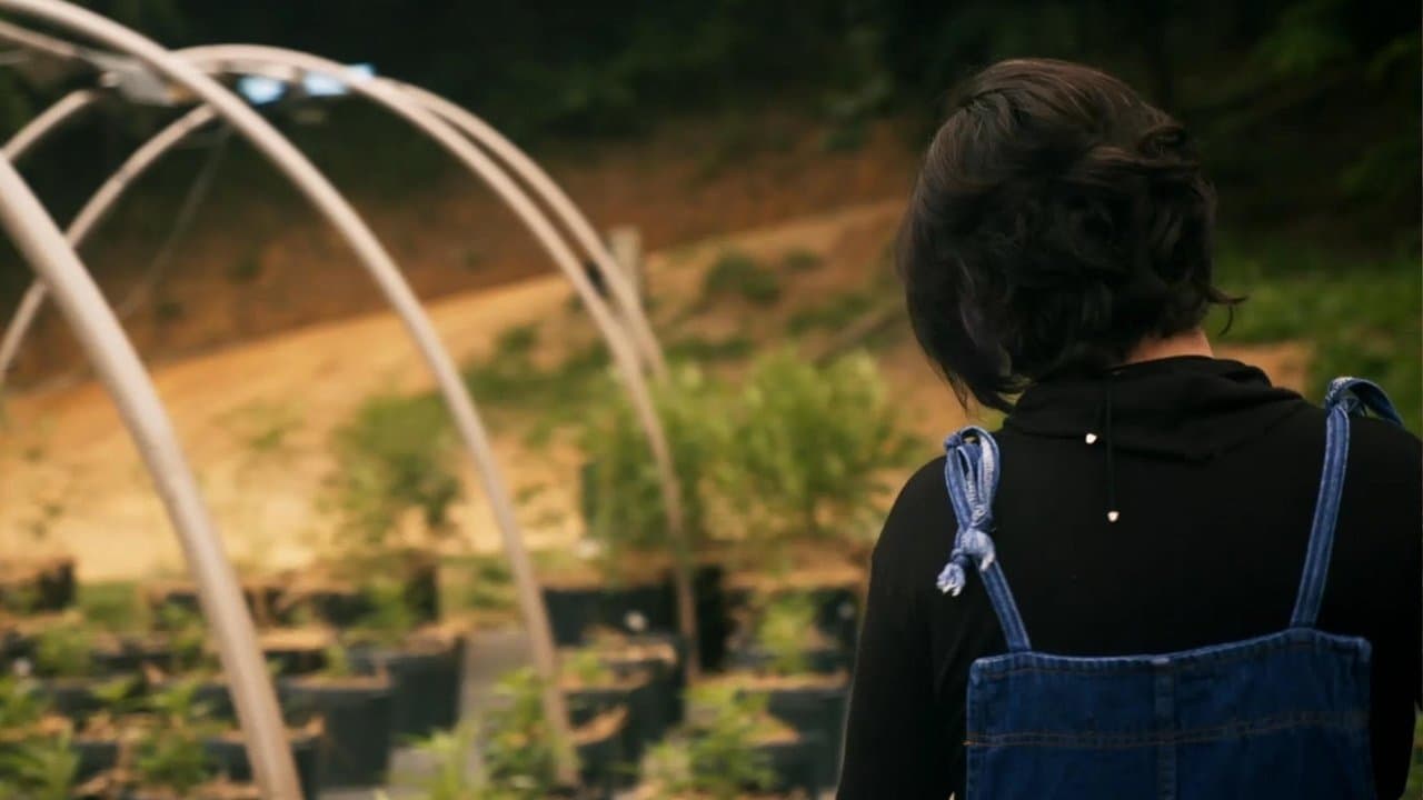 O Outro Mundo de Sofia