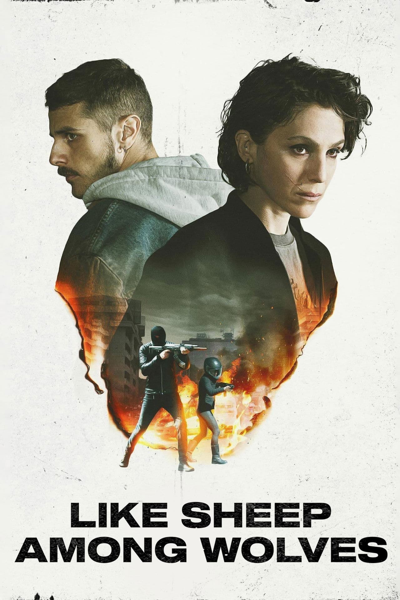 Like Sheep Among Wolves