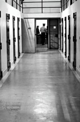 A Warehouse for Bodies