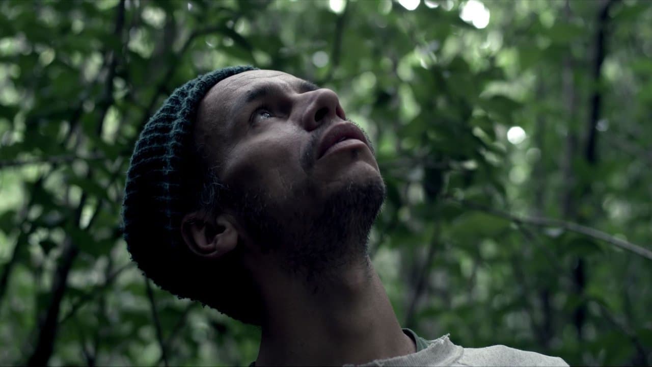 Let the Lights Move Away