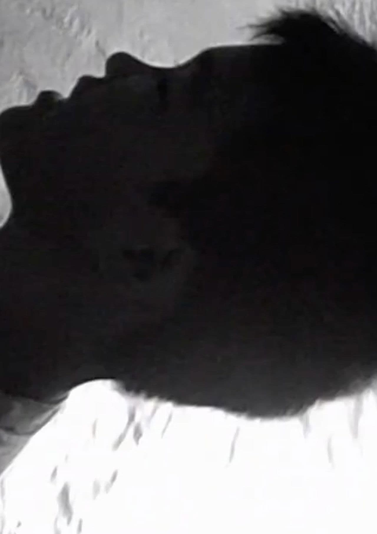 We Won't Grow Old Together