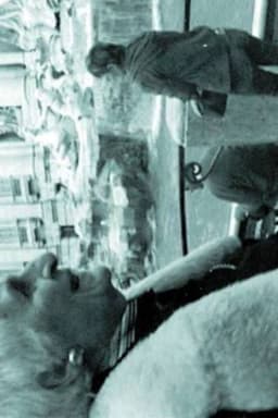 THE INTERPRETER OF BLACK AND WHITE FILMS