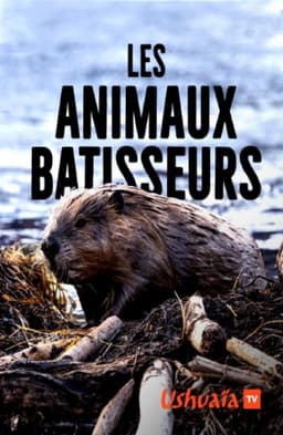 Les Animaux bâtisseurs