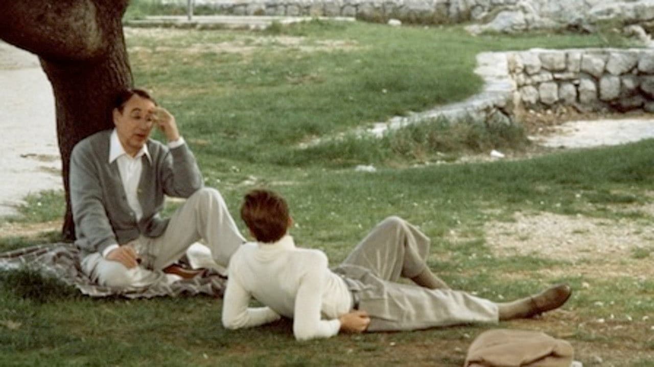 The Gold Rimmed Glasses