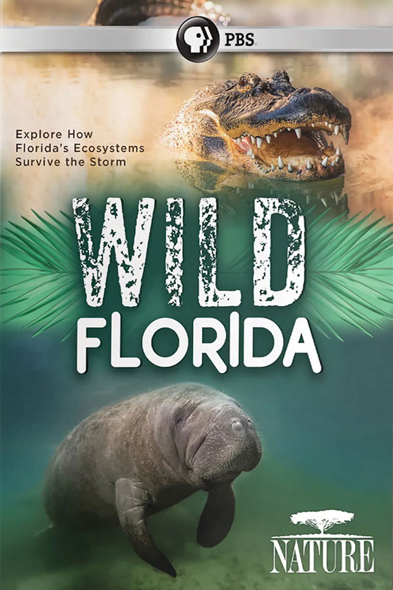 Wild Florida