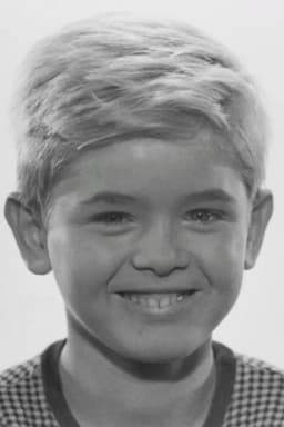 Hartmut Schwerdtfeger