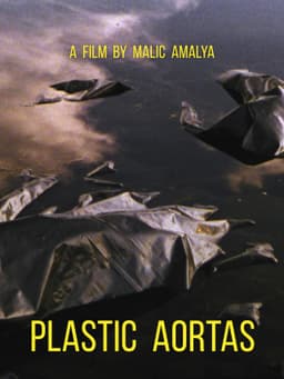 Plastic Aortas
