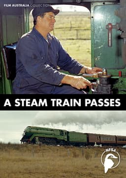 A Steam Train Passes