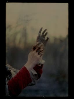 We Become a Field of Flowers