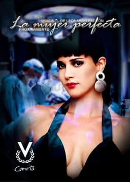 La mujer perfecta
