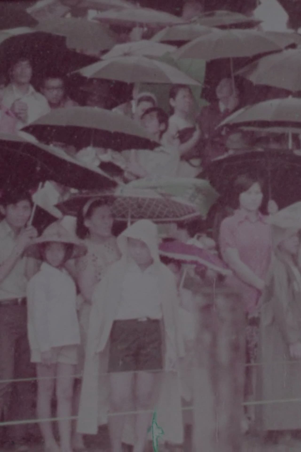 The Dragon Boat Festival