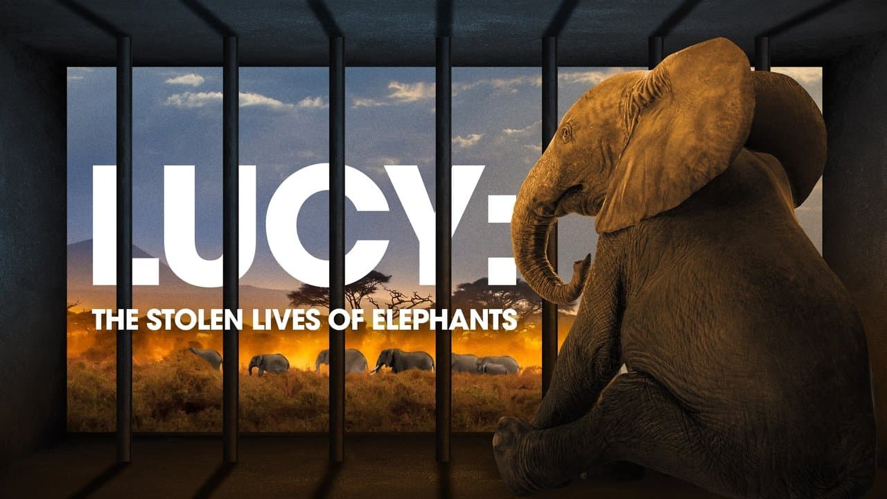 Lucy: The Stolen Lives of Elephants