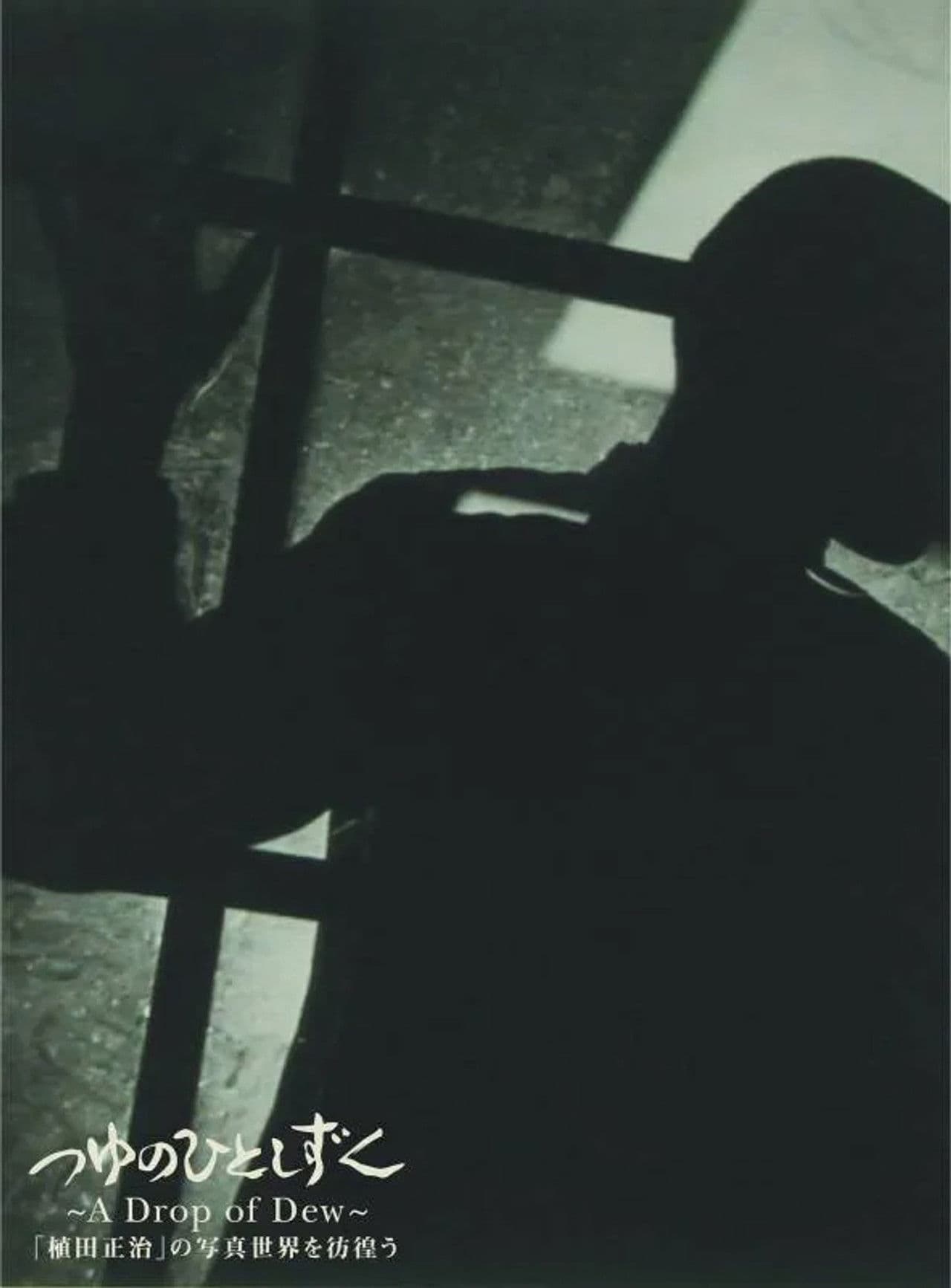 A Drop of Dew: Shoji Ueda's Photographs that Woke the World