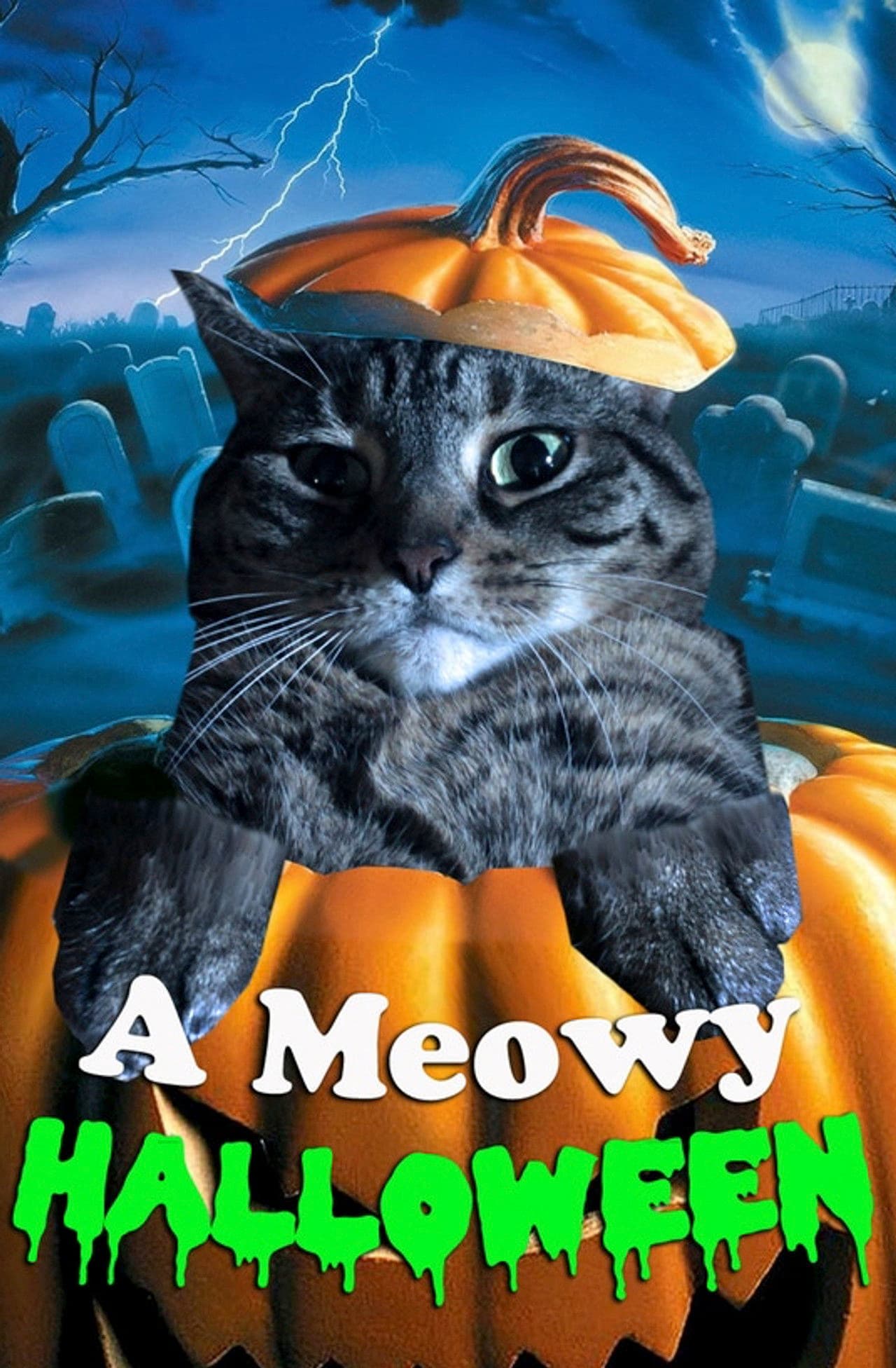 A Meowy Halloween