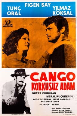 Django - Fearless Man