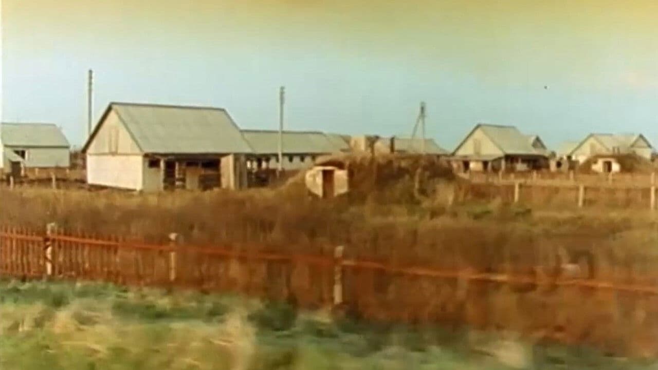 Boy, Bloodbrother of Death