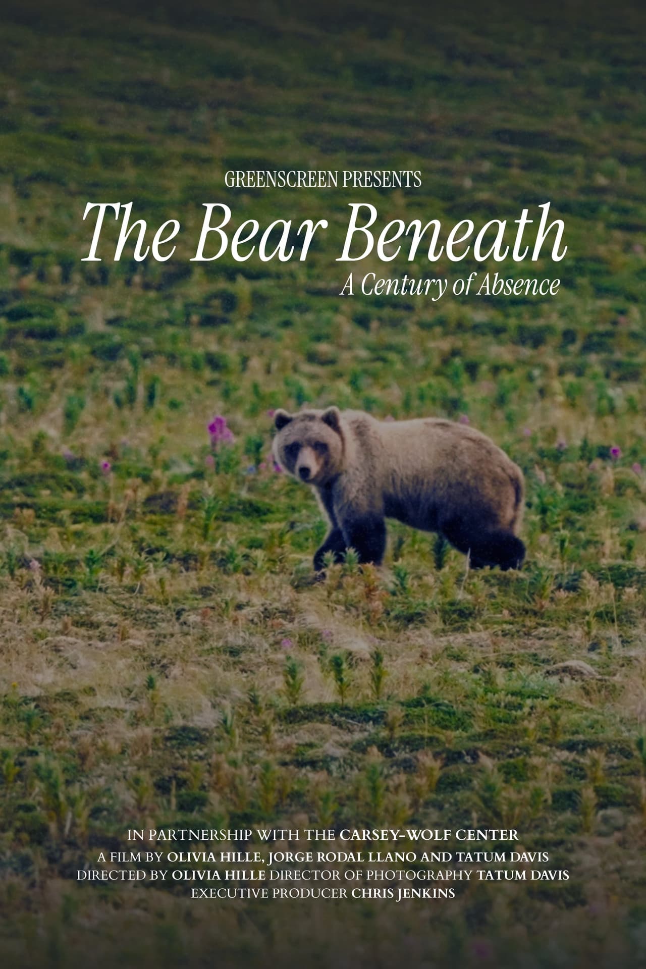 The Bear Beneath